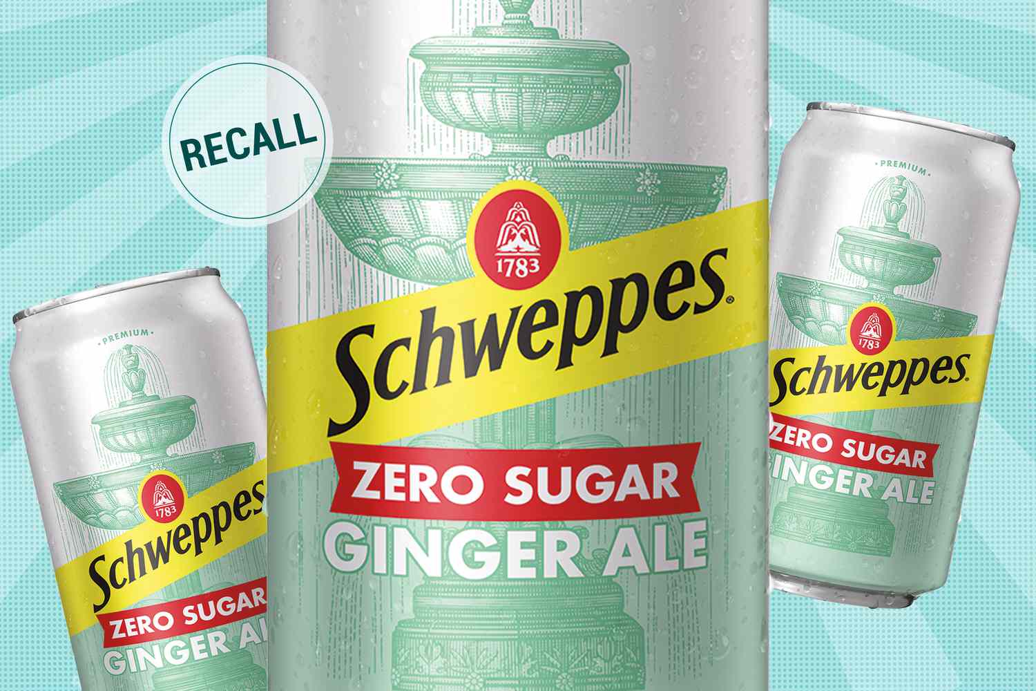 Schweppes Zero Sugar Ginger Ale