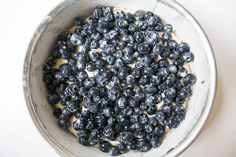 blueberry-cake-method-2