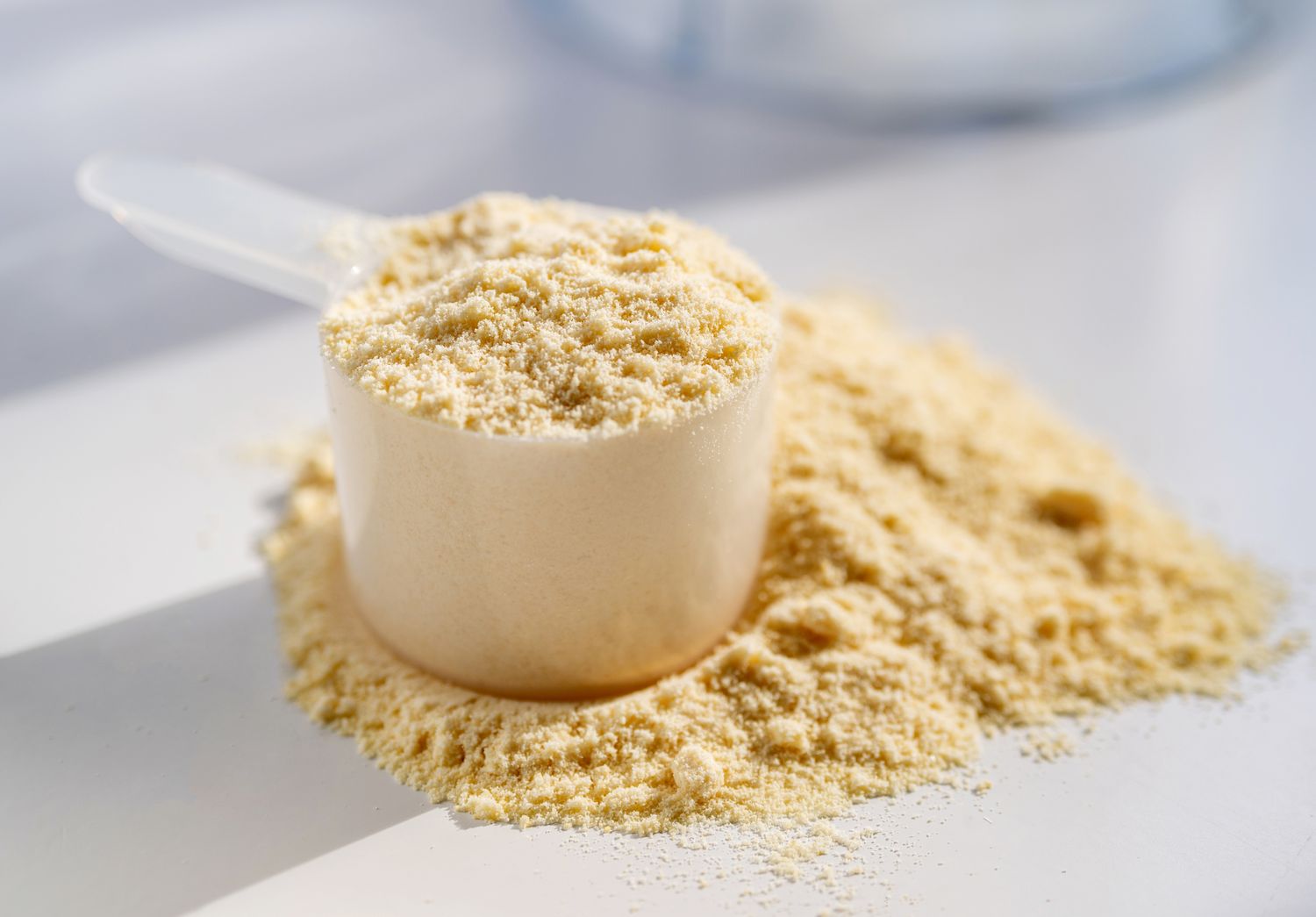 A scoop filled with protein powder with some powder spilled on a surface illustrating the ingredient