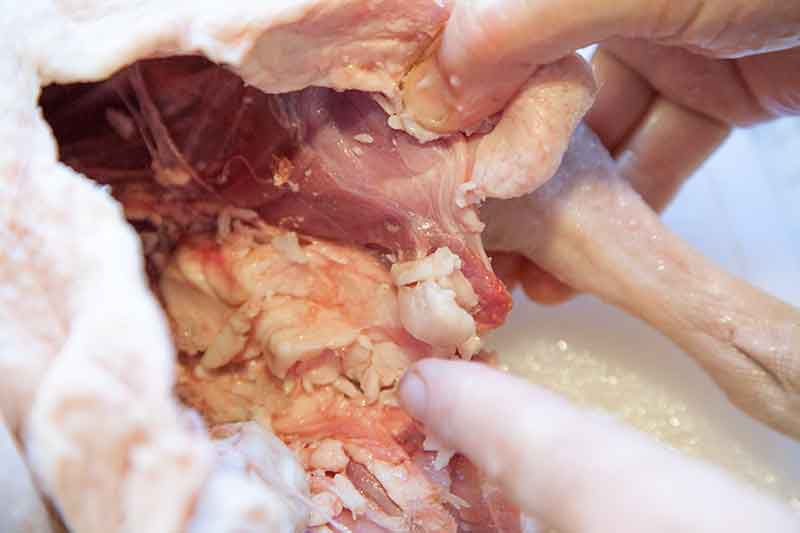 roast-goose-method-5