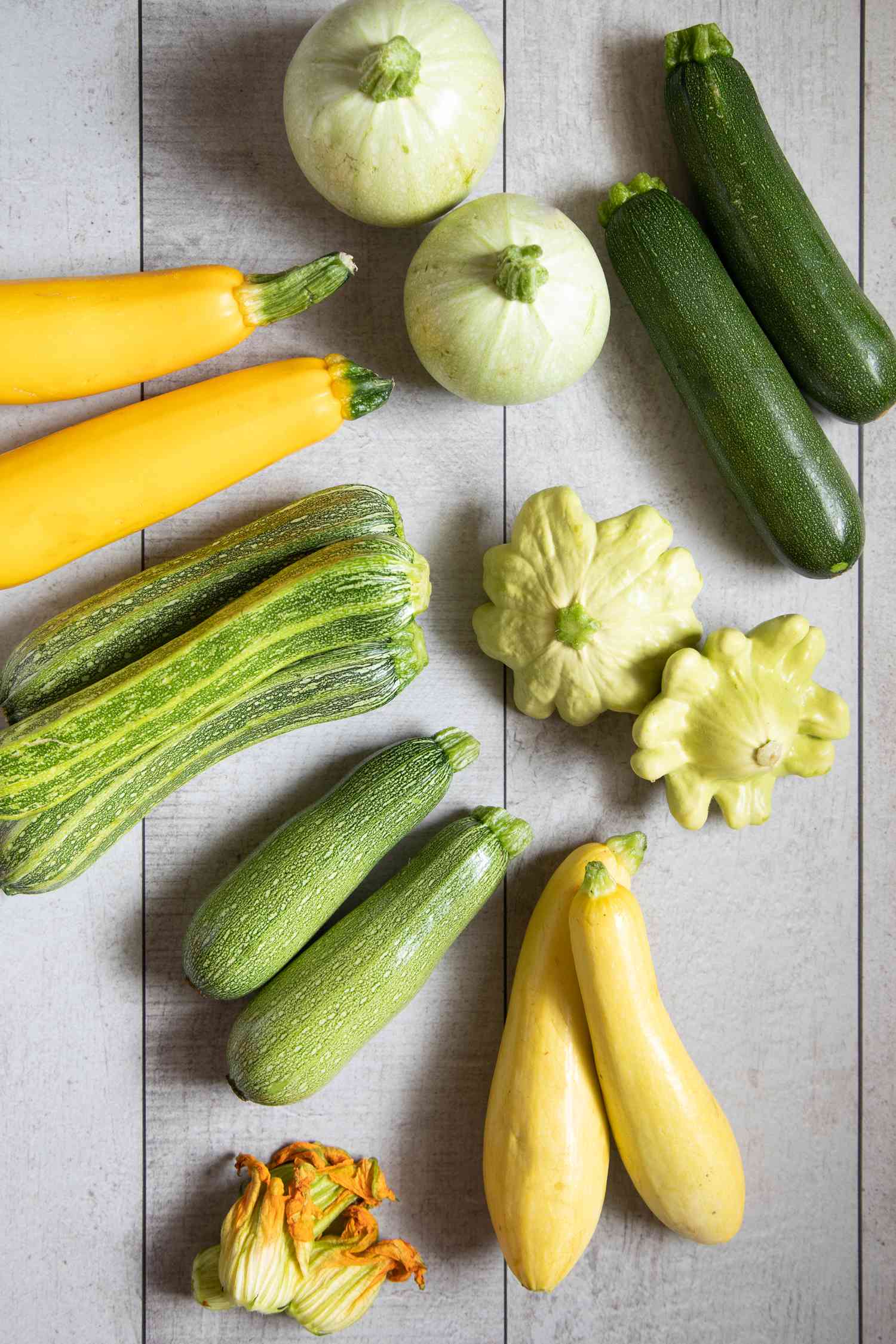 Squash varieties
