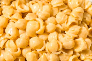 Closeup of macaroni and cheese with shellshaped pasta