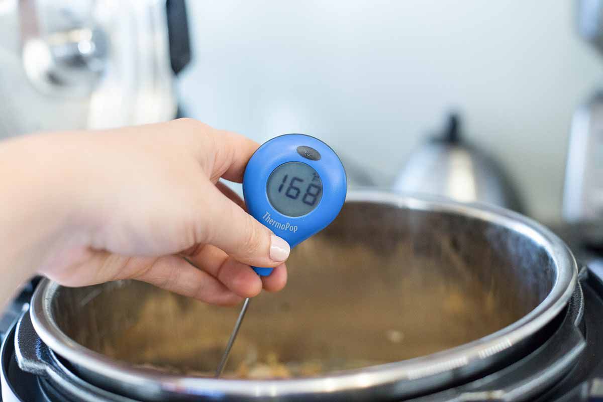 Pressure Cooker Chicken Adobo with Rice