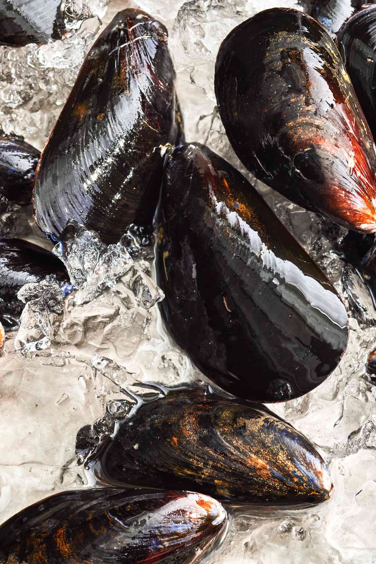 Close-up: Mussels on Ice on a Baking Tray