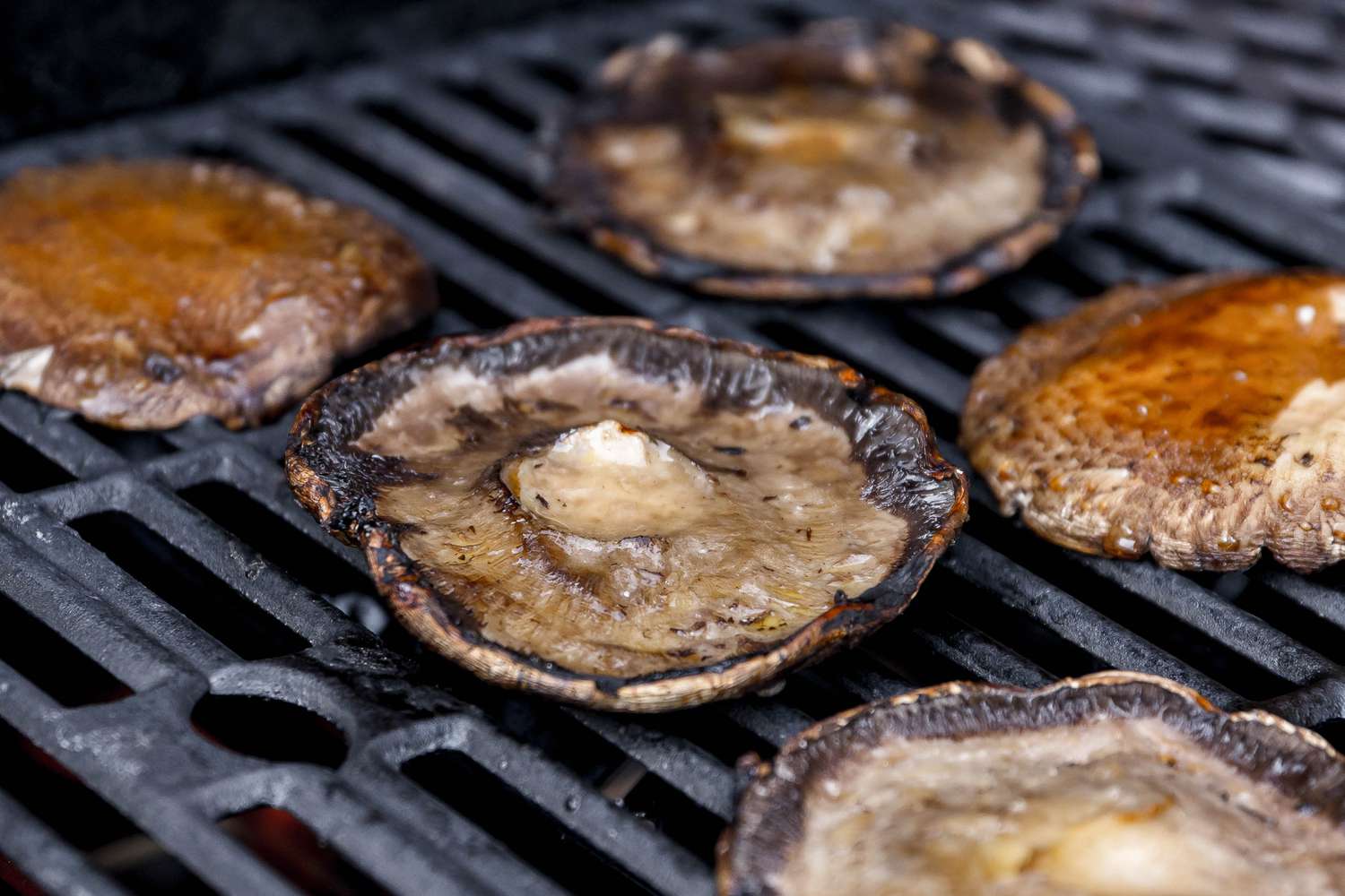 Grilled Mushrooms Frilled on the Grill 