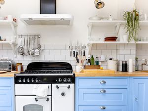 Beautiful home kitchen with various tools, appliances, dishes, and cabinets