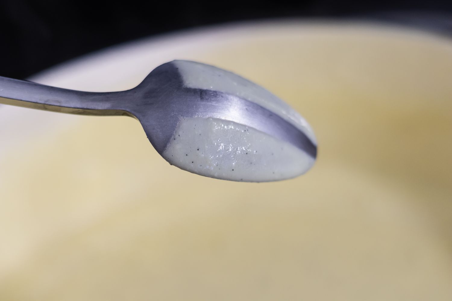 A spoon showing the texture of the ice cream custard to make a homemade ice cream recipe.