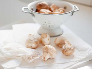 how to wipe off and clean mushrooms