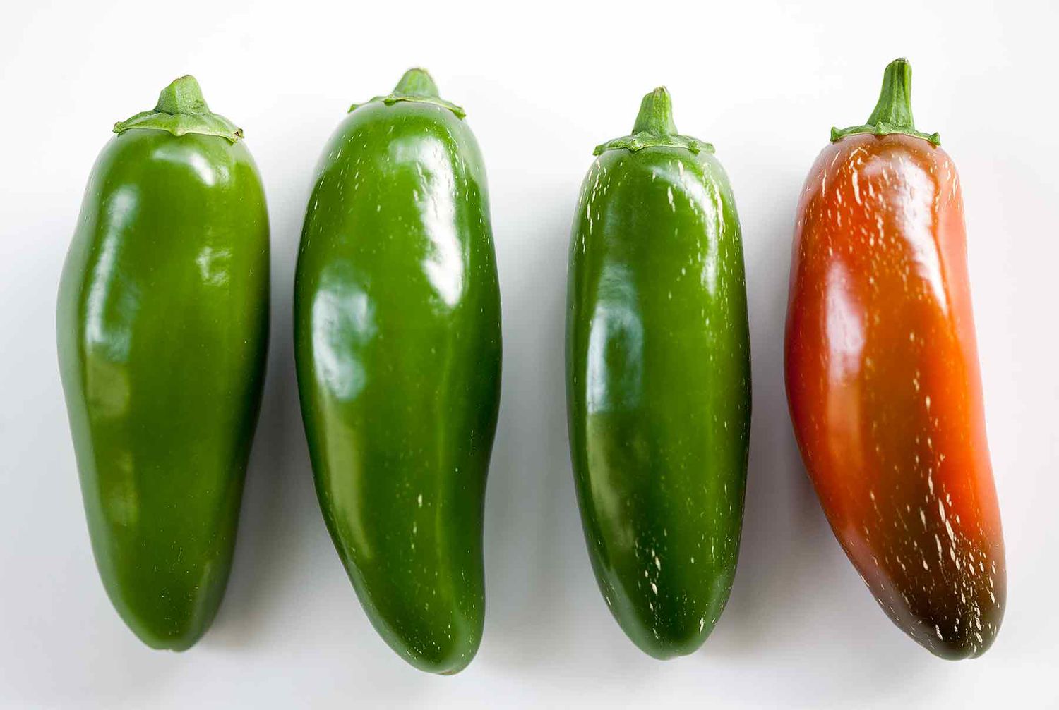 Jalapeno Hotness