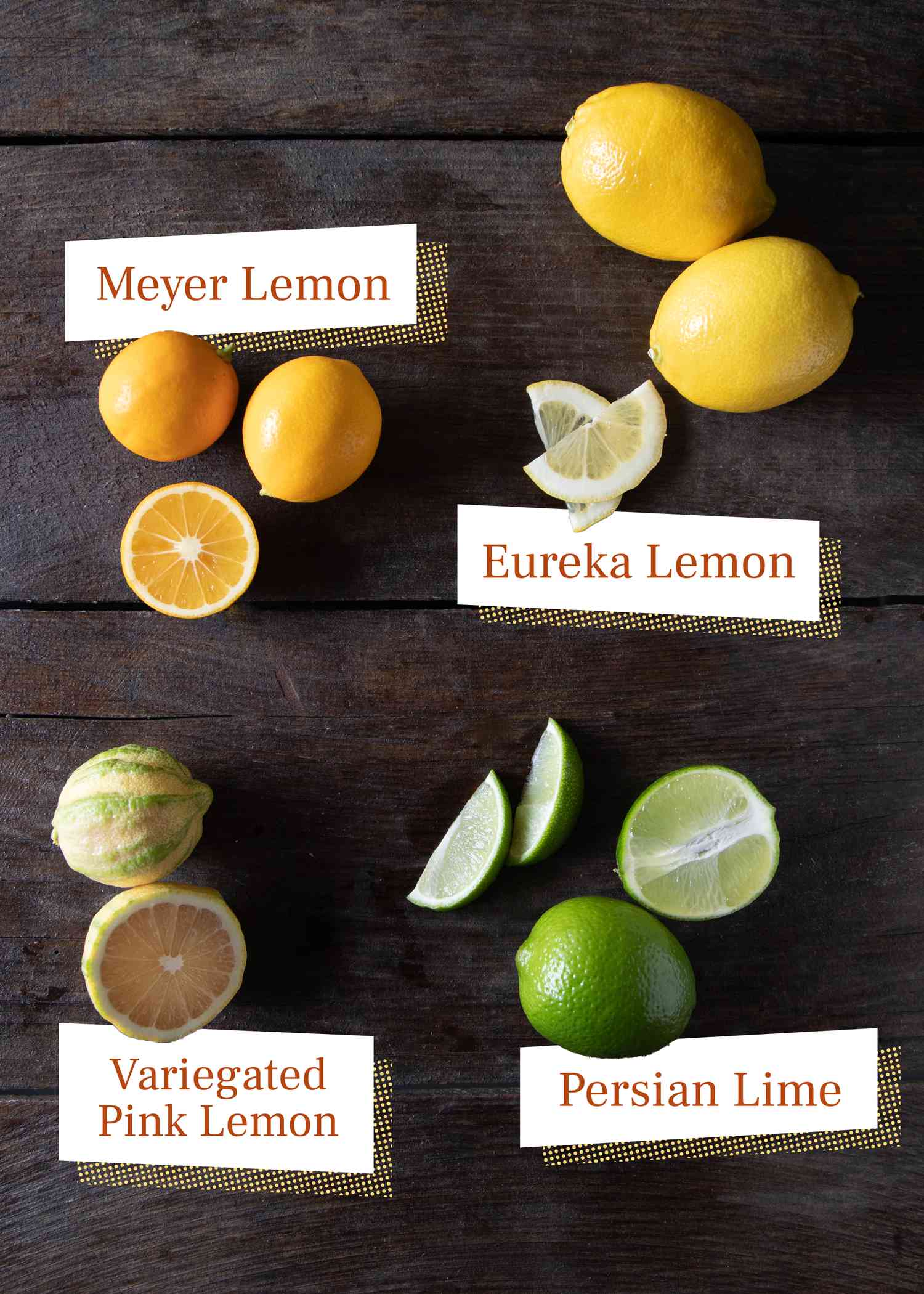 Lemon varieties, Meyer lemon, eureka lemon, pink lemon, and Persian lime