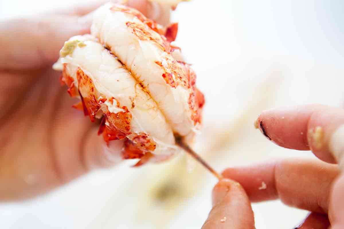 Use your fingertips to remove the digestive canal from the tail