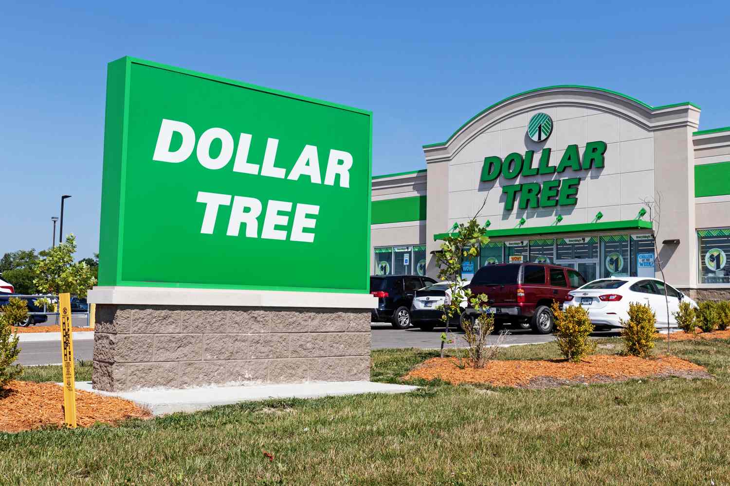 Front view of a Dollar Tree store with the outdoor signage visible