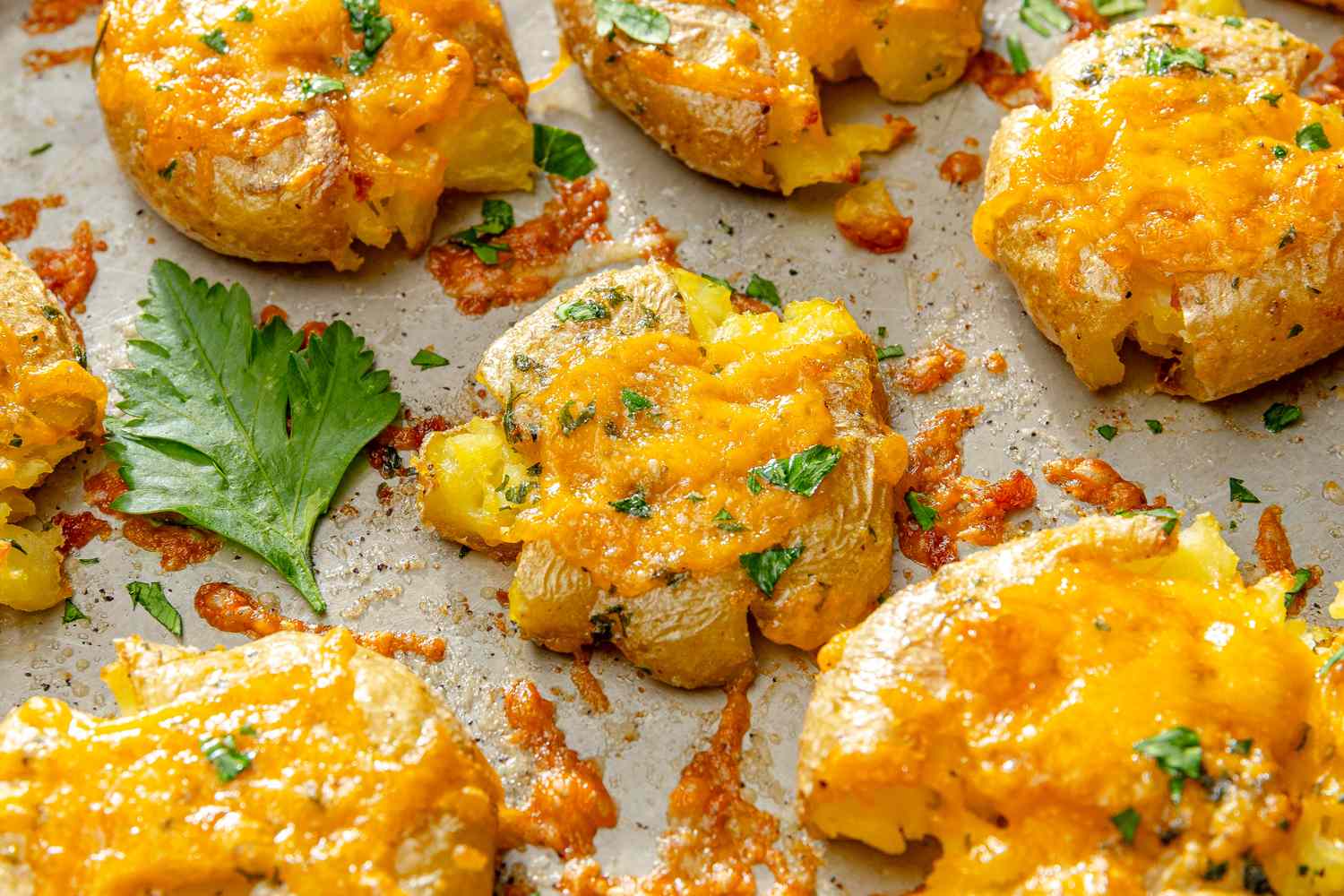 Smashed potatoes topped with melted cheese and garnished with herbs on a baking sheet