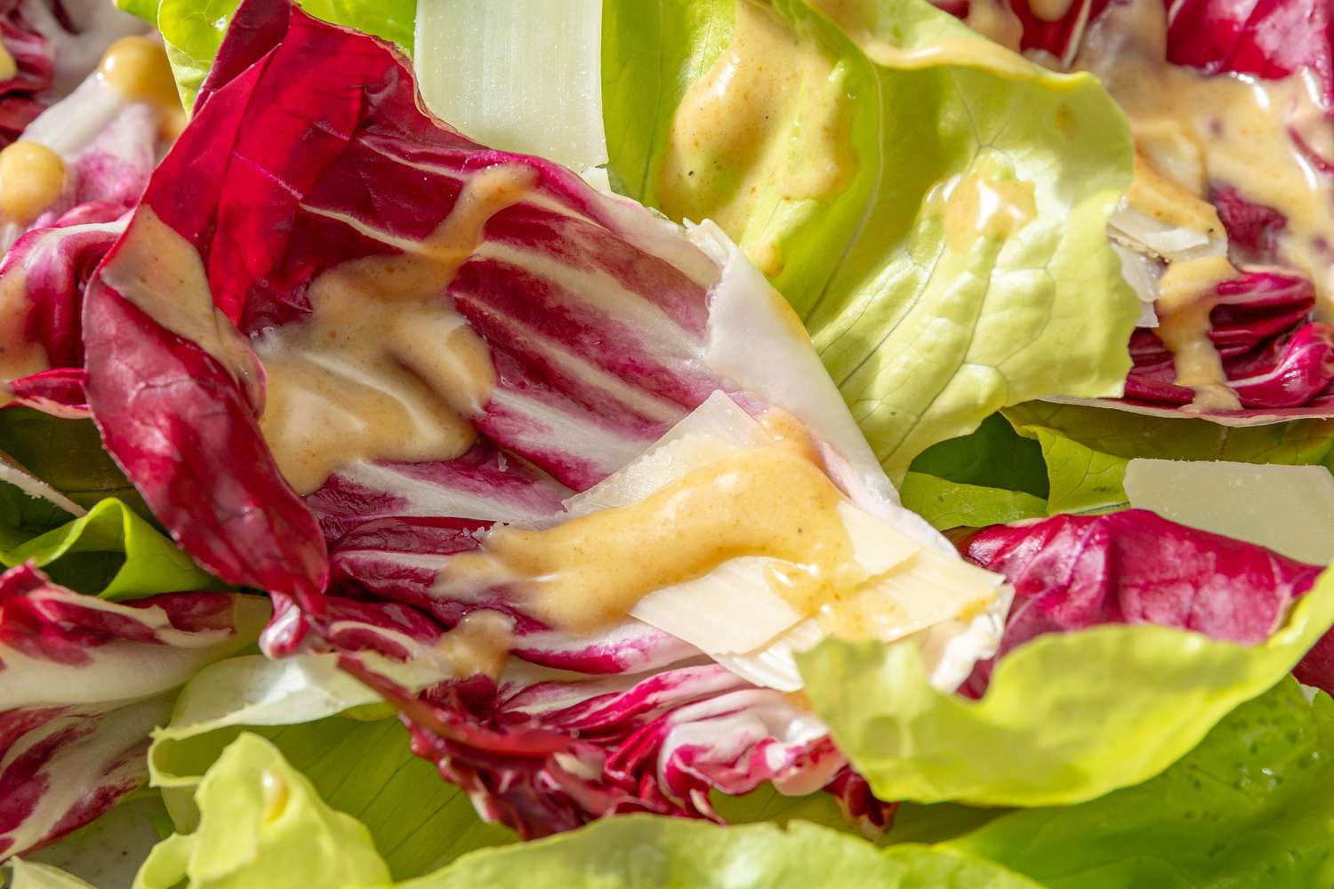 Radicchio and lettuce leaves with vinaigrette dressing