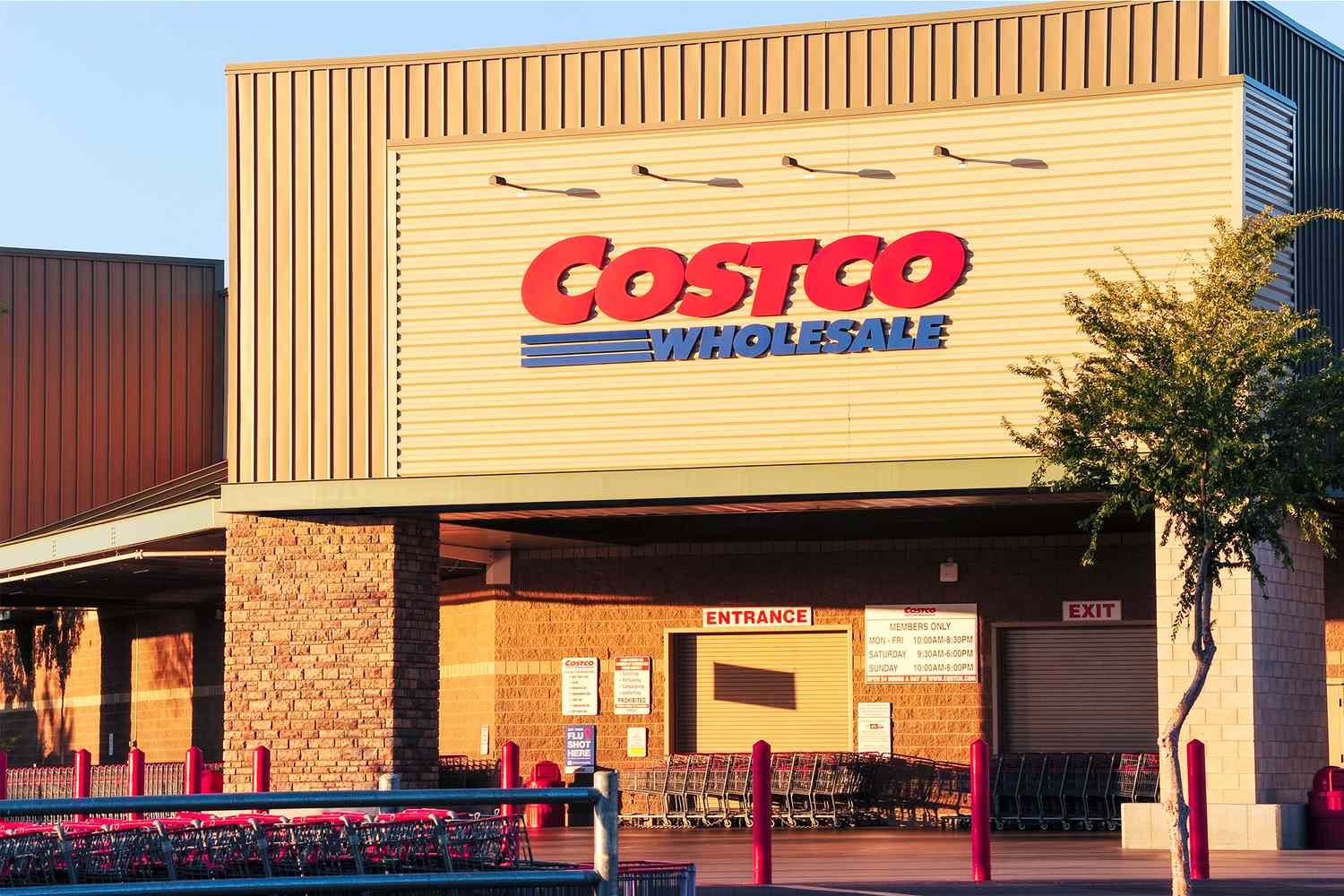 The exterior of a Costco Wholesale store with visible entrance and shopping carts in front