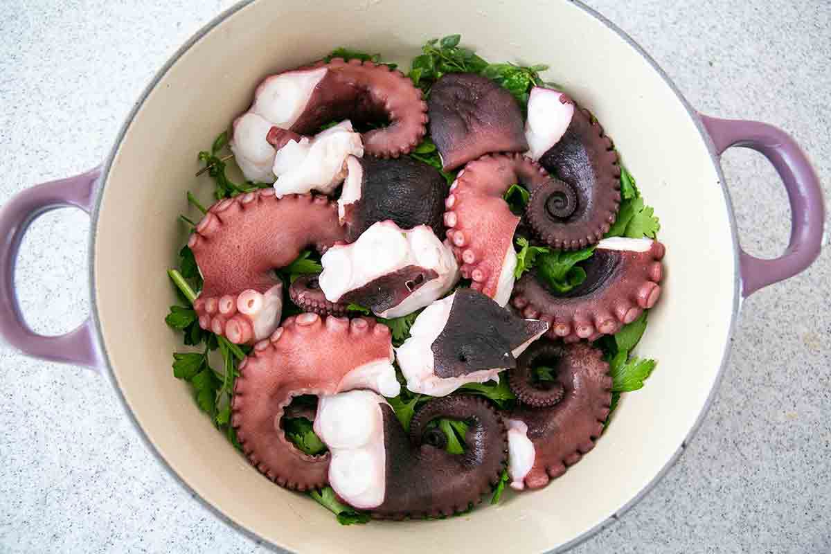 octopus pieces on herbs in pot