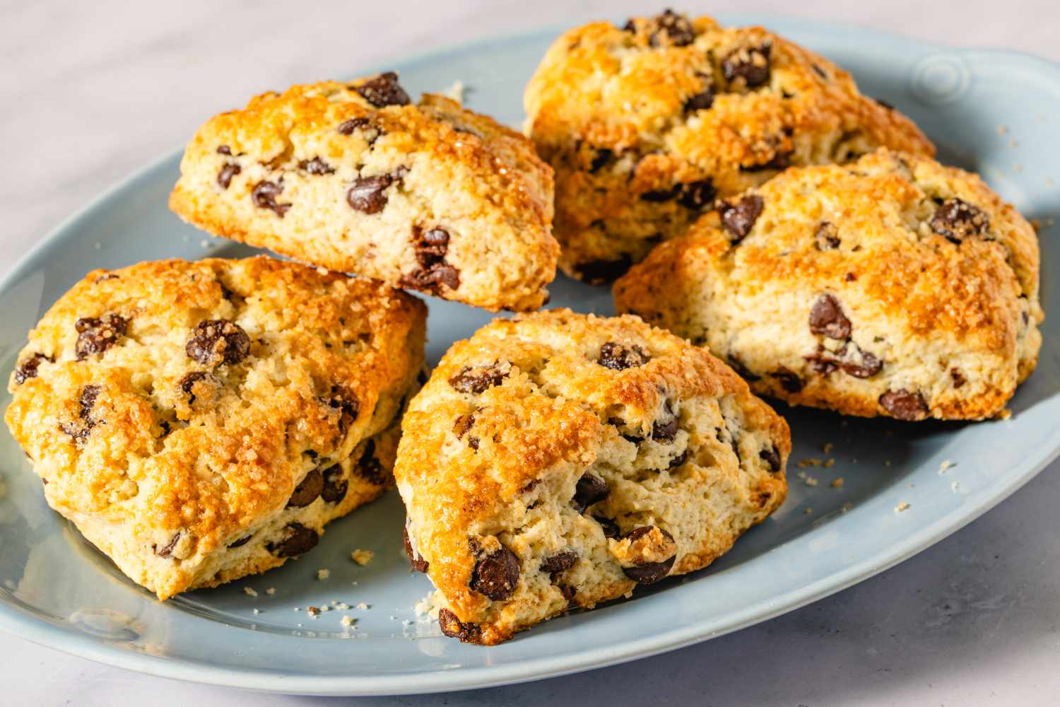 A plate with five chocolate chip scones arranged for serving