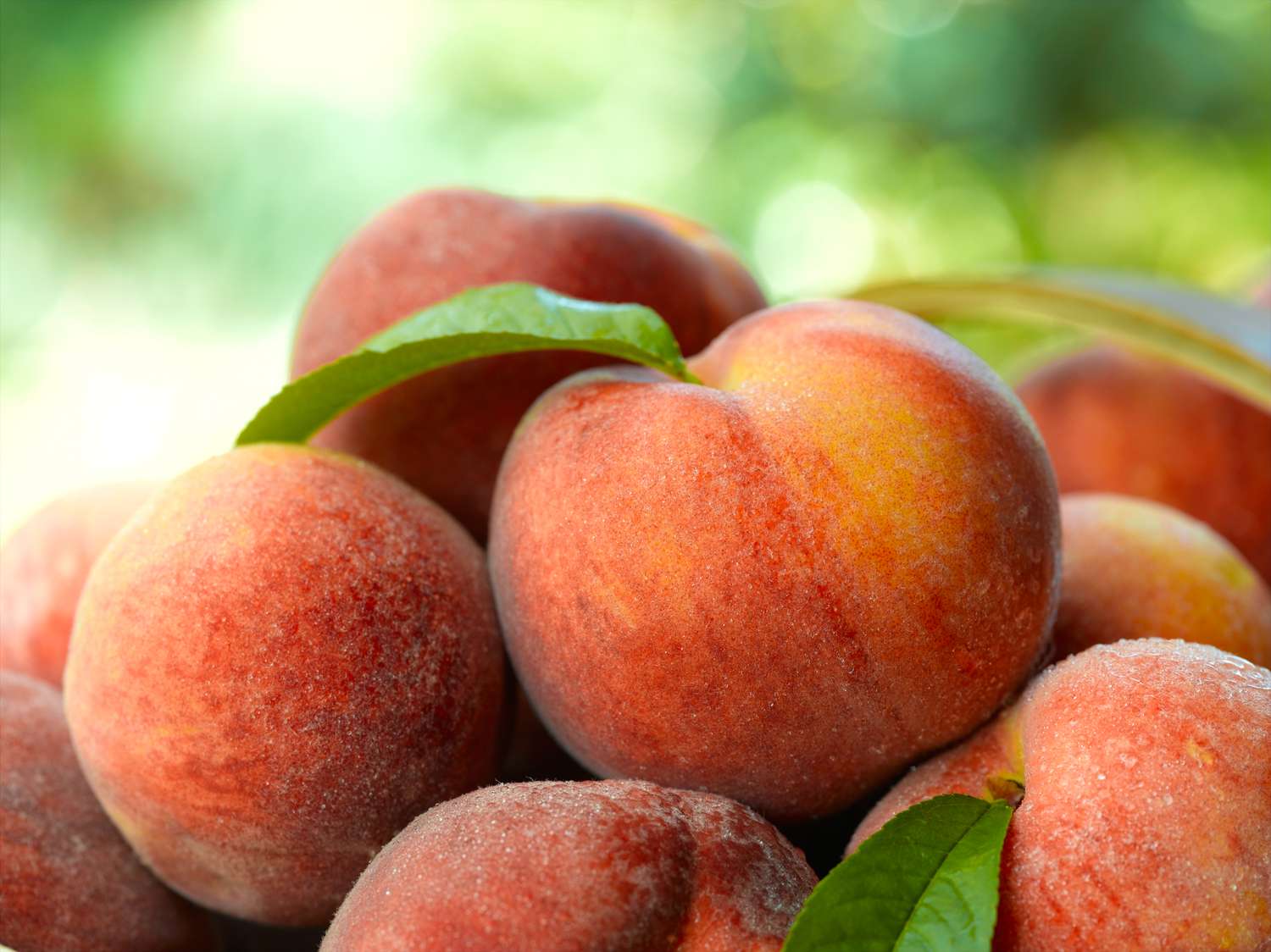 pile of peaches
