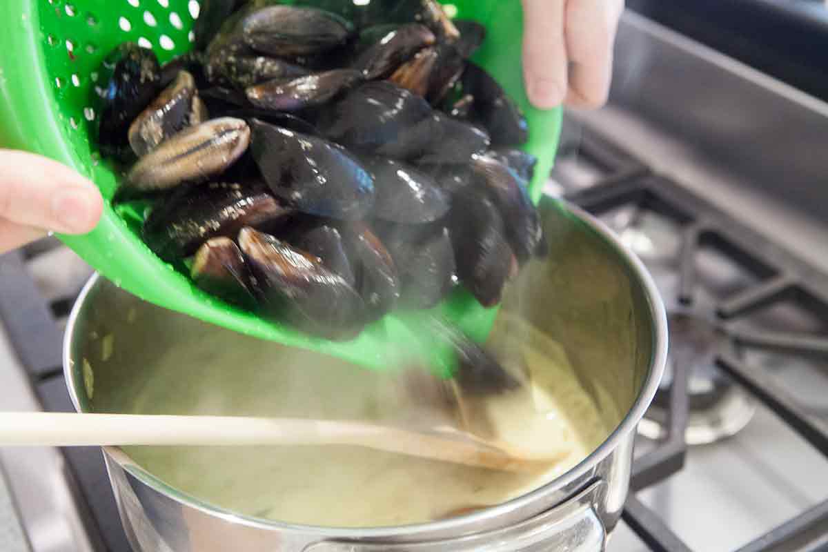 mussels being added to the coconut curry broth