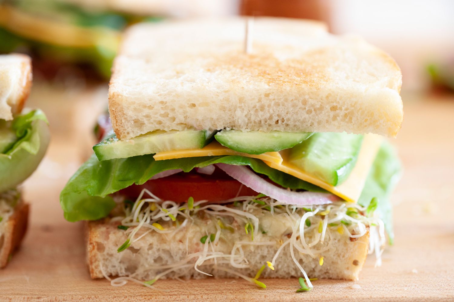 Closeup of a Loaded Veggie Sandwich