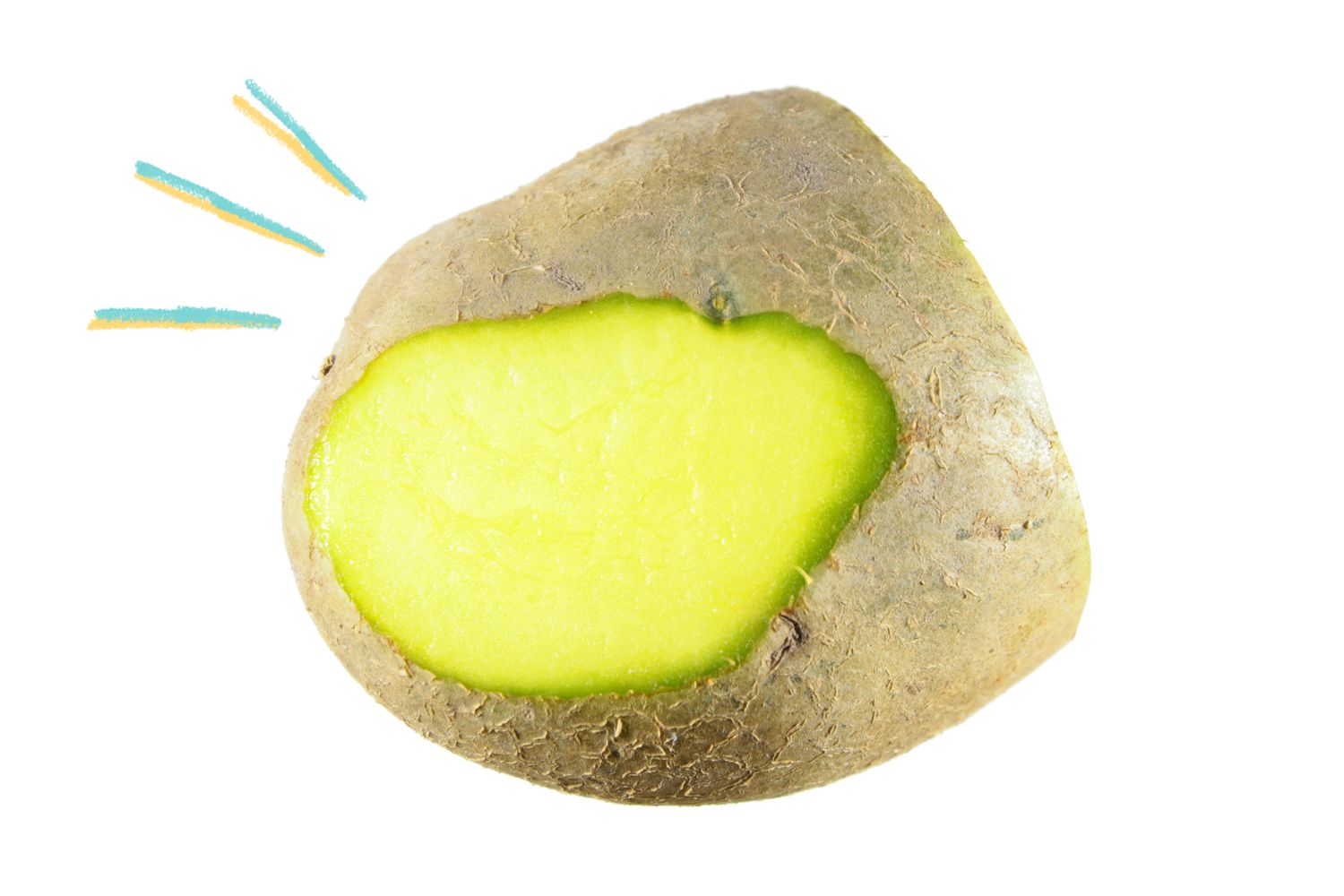 Potato (some of it is green)