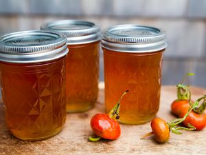 Rose Hip Jelly
