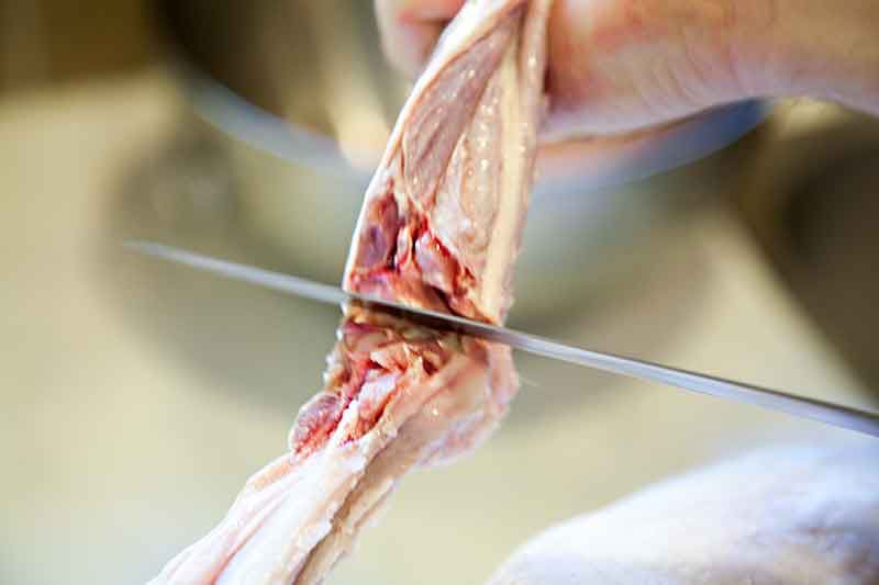 roast-goose-method-2