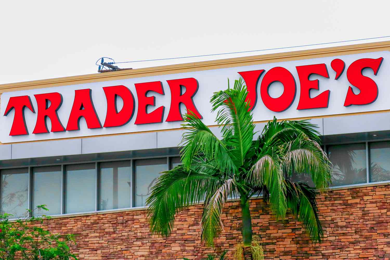 Outside view of a Trader Joe's store