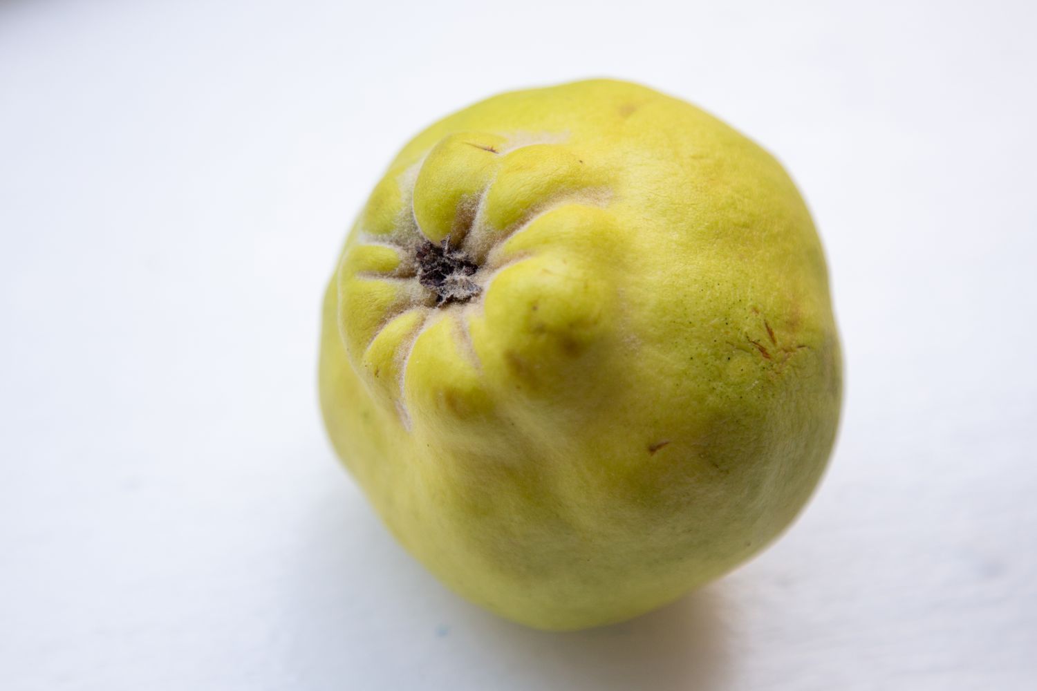 Fuzzy coating on quince