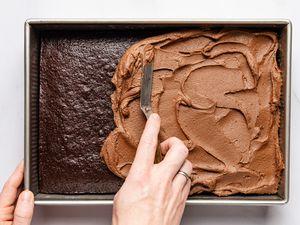 Chocolate cake with chocolate frosting