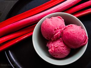 Rhubarb Sorbet