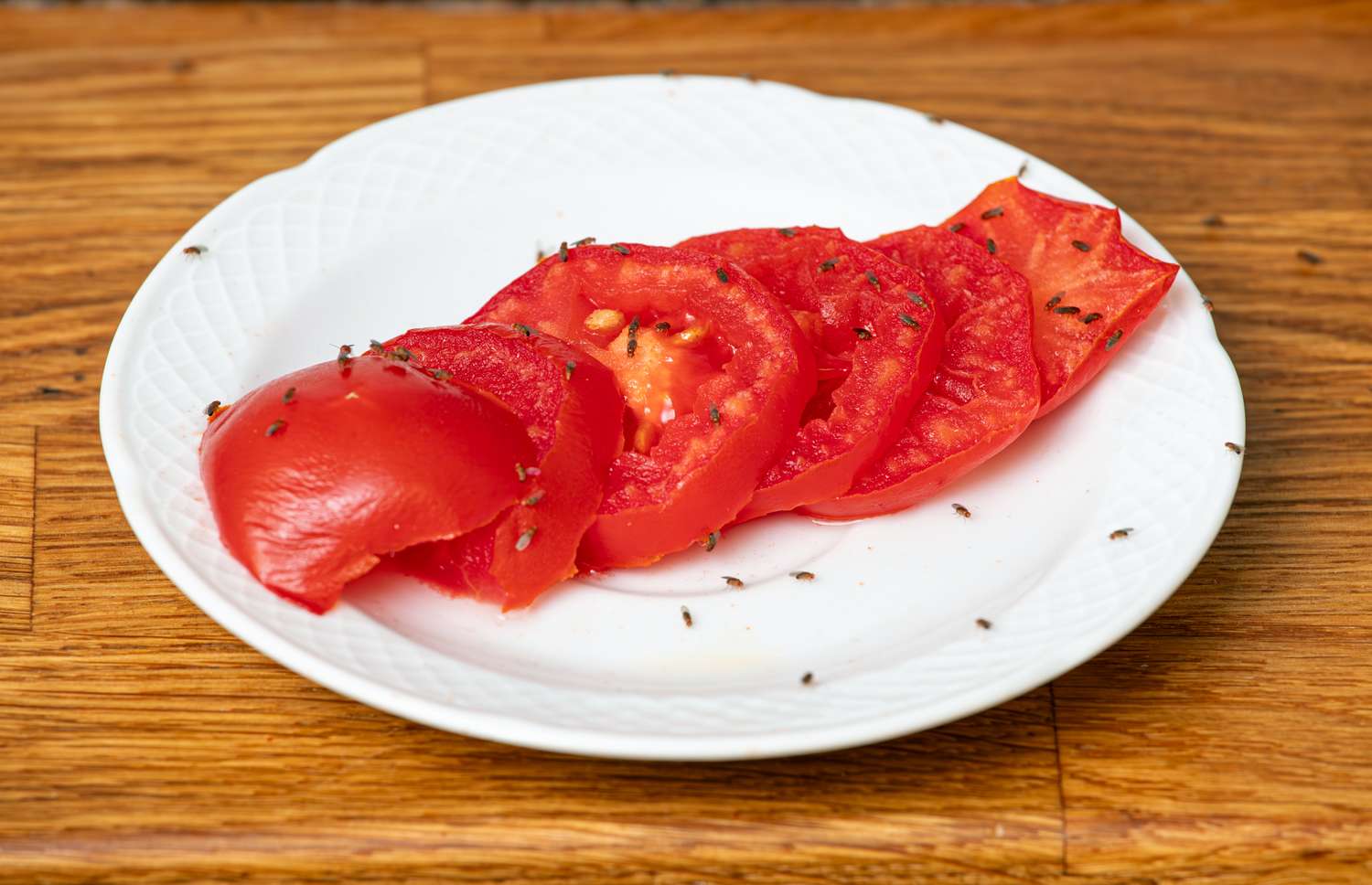 Sliced tomatoes on a plate with small gnats on the surface