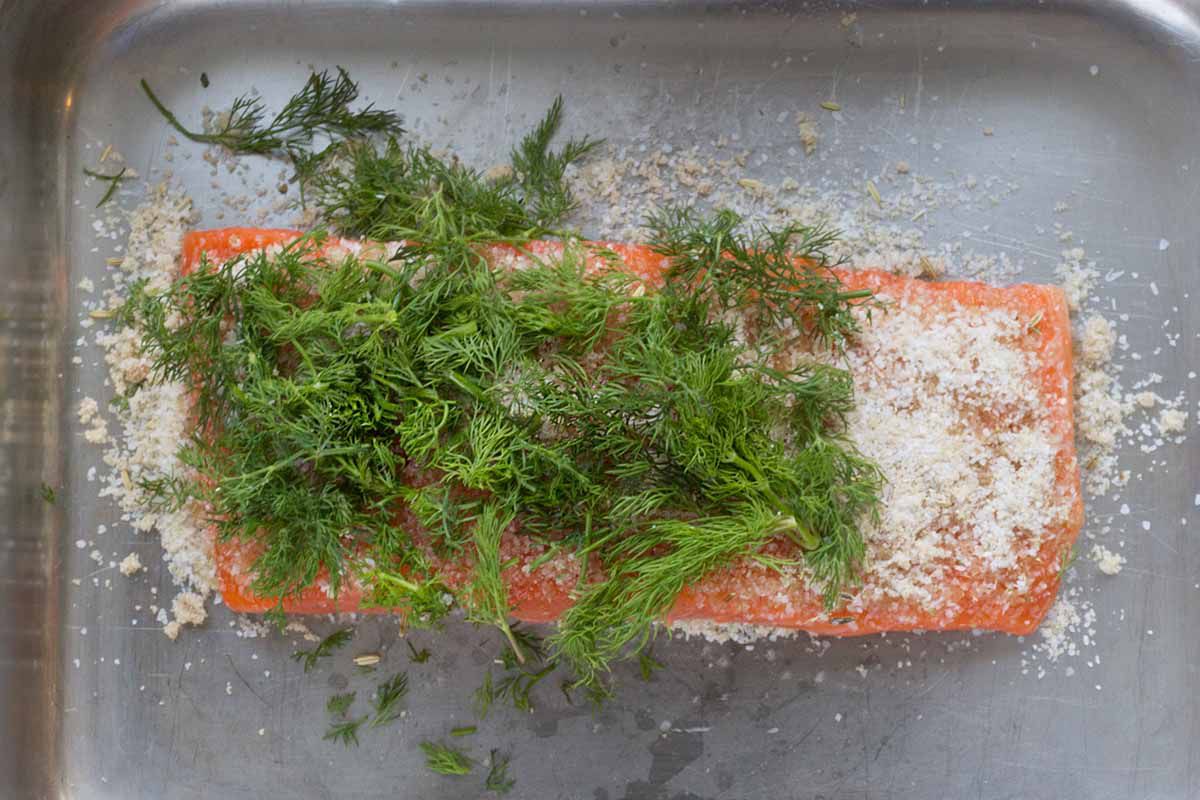 How to Make Salmon Gravlax