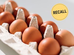 A carton of eggs with a recall label symbol
