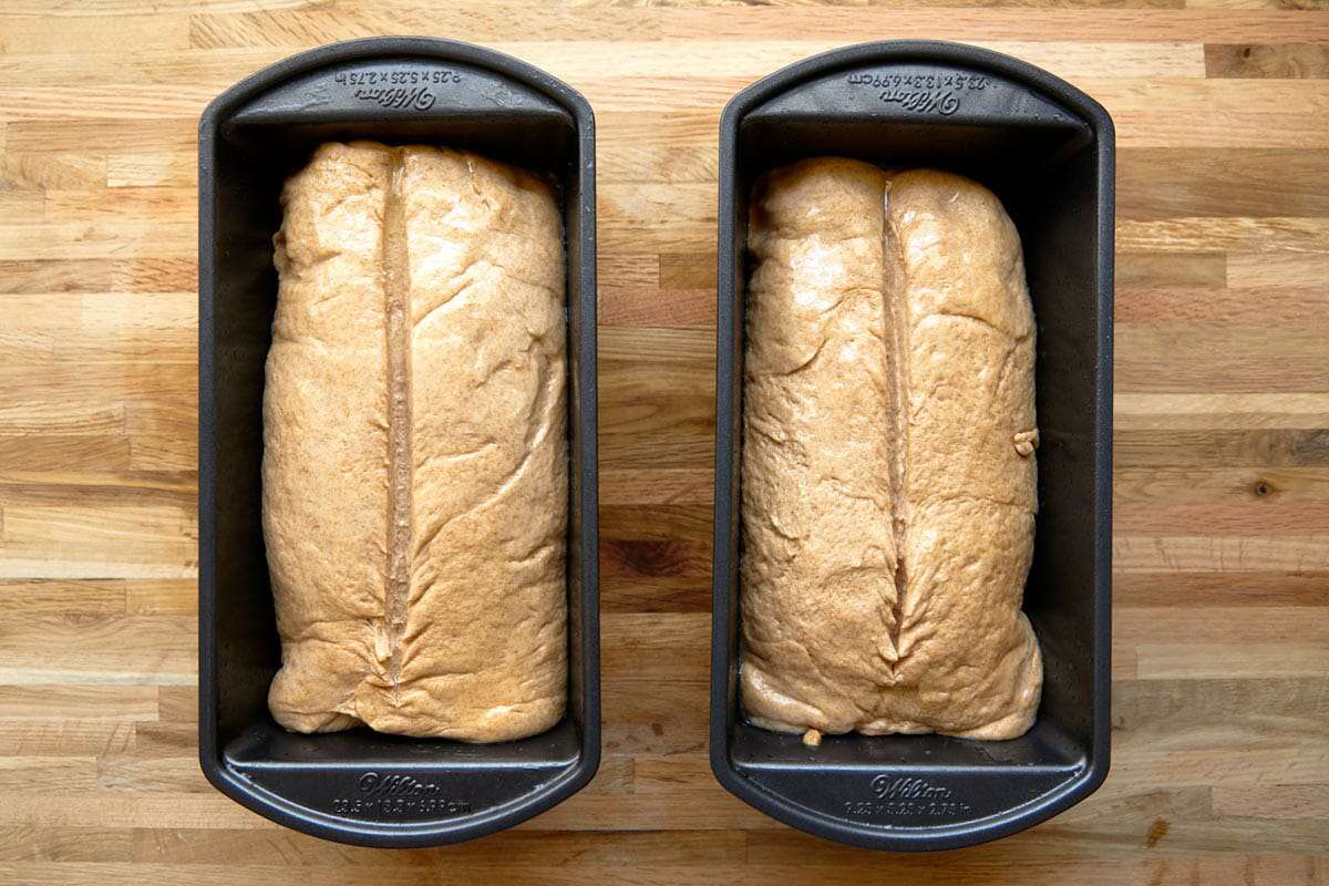 How to Make Whole Wheat Bread slash the tops of the loaves