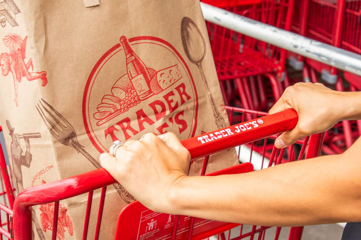 someone pushing a trader joe's cart with a trader joe's paper bags