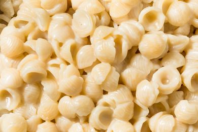 Closeup of creamy shell pasta commonly associated with a boxed macaroni and cheese dish