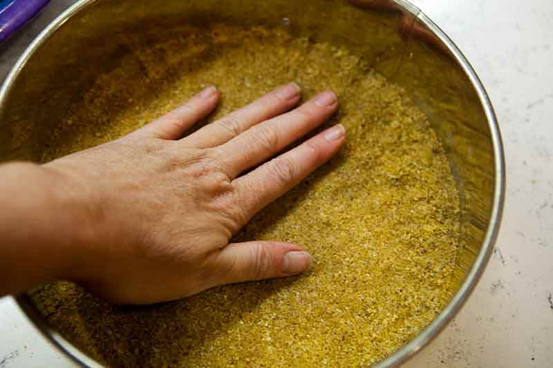 pumpkin cheesecake crust ingredients