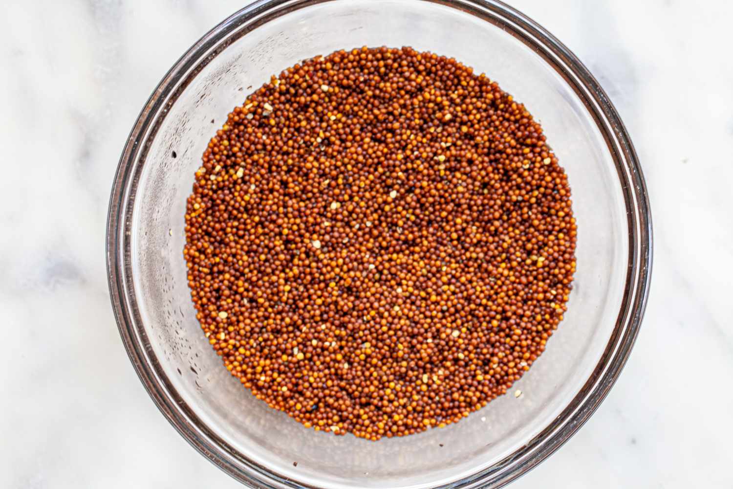 Making a coarse-ground Dijon mustard by soaking mustard seeds.