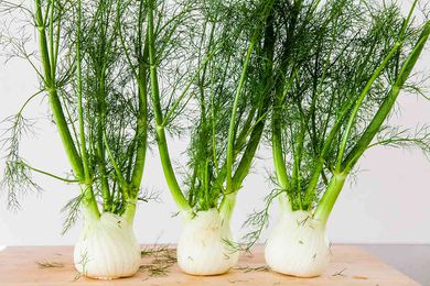 Three Bulbs of Fennel Lined Up on a Cutting Board