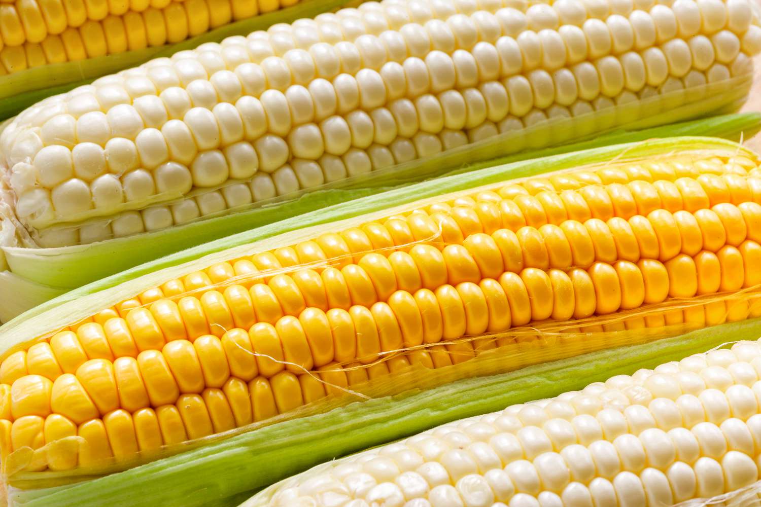 white corn and yellow corn