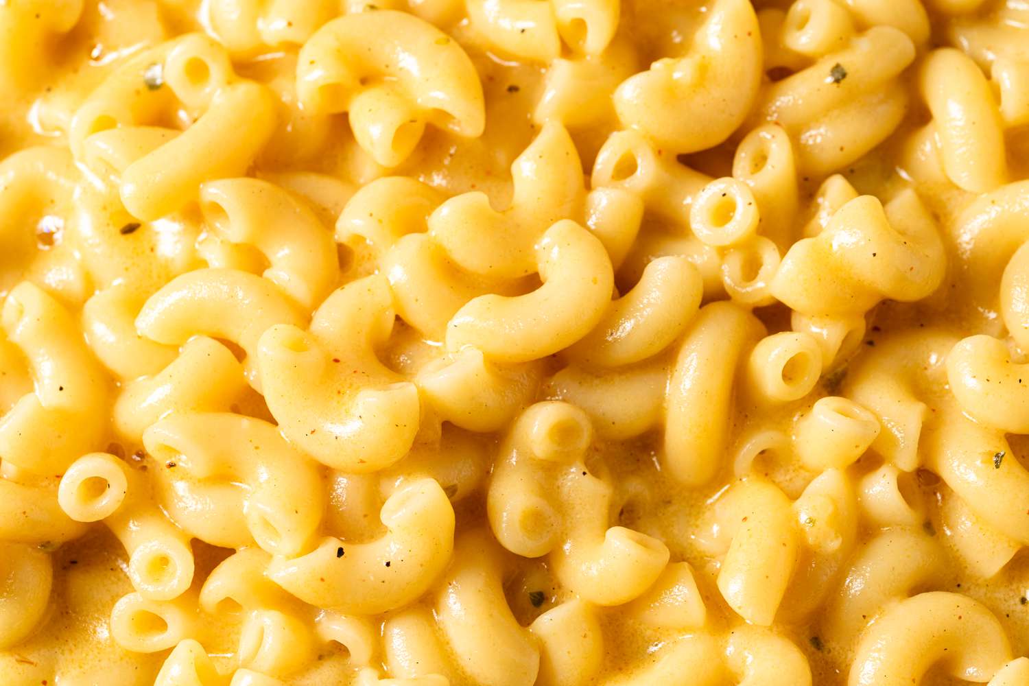 Close up of creamy-looking mac and cheese