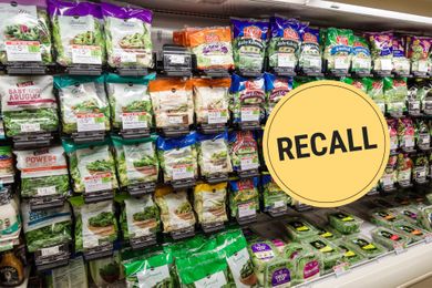 Supermarket shelf stocked with packaged salad kits yellow recall sign placed above products