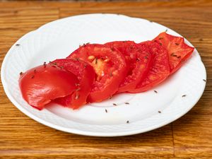 Sliced tomatoes on a plate with small gnats on the surface