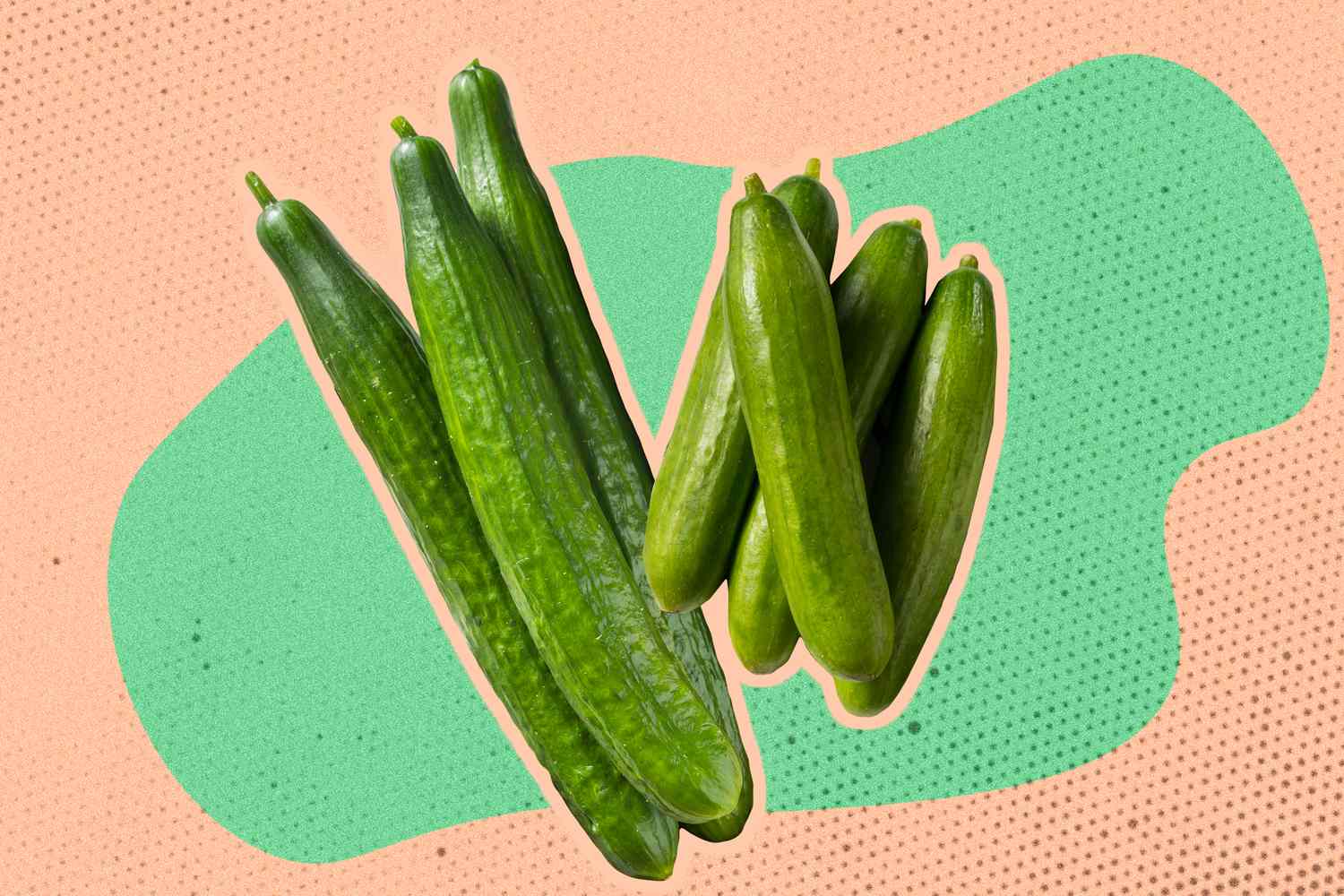 English cucumbers and Persian cucumber