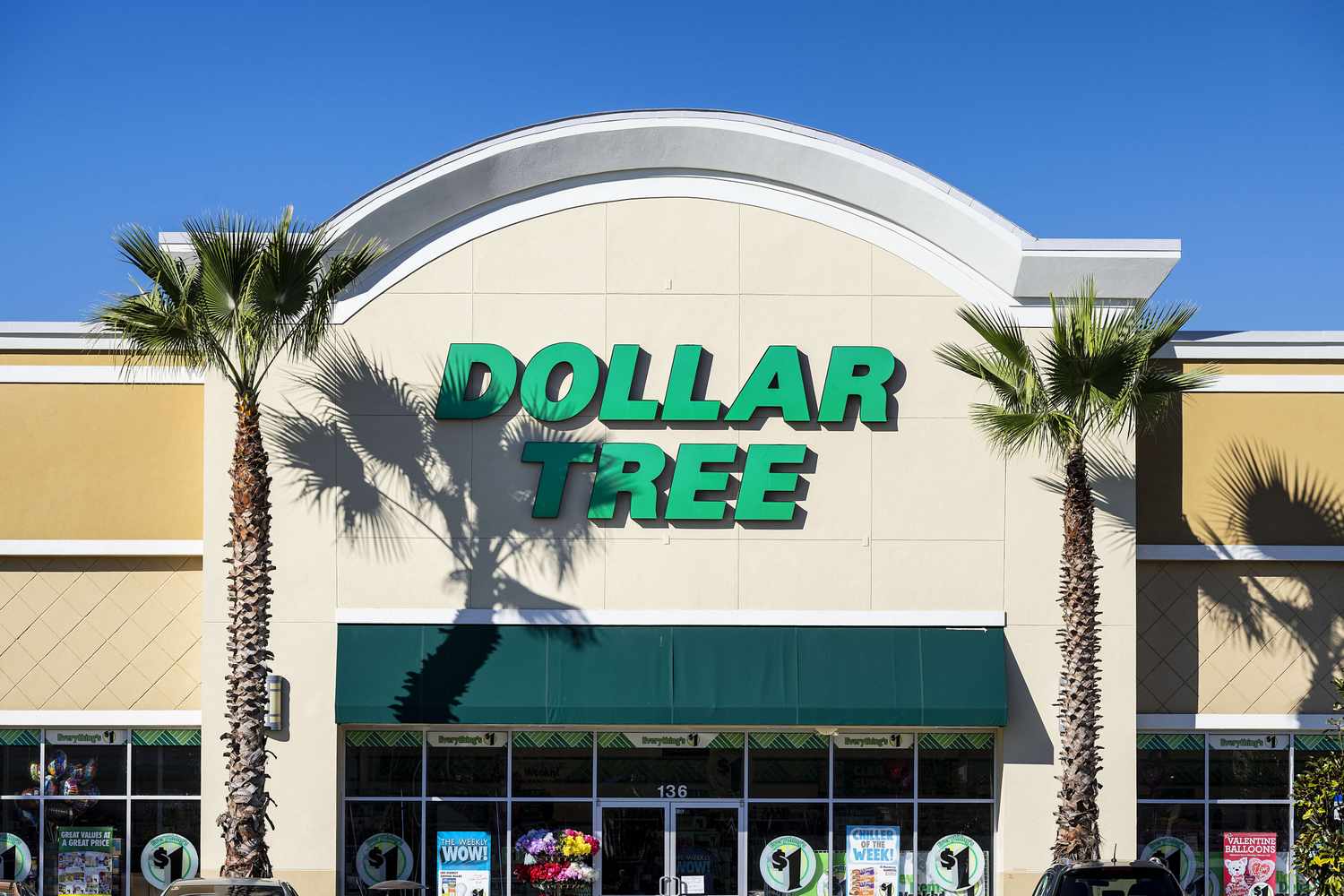 Front entrance of a Dollar Tree store flanked by palm trees