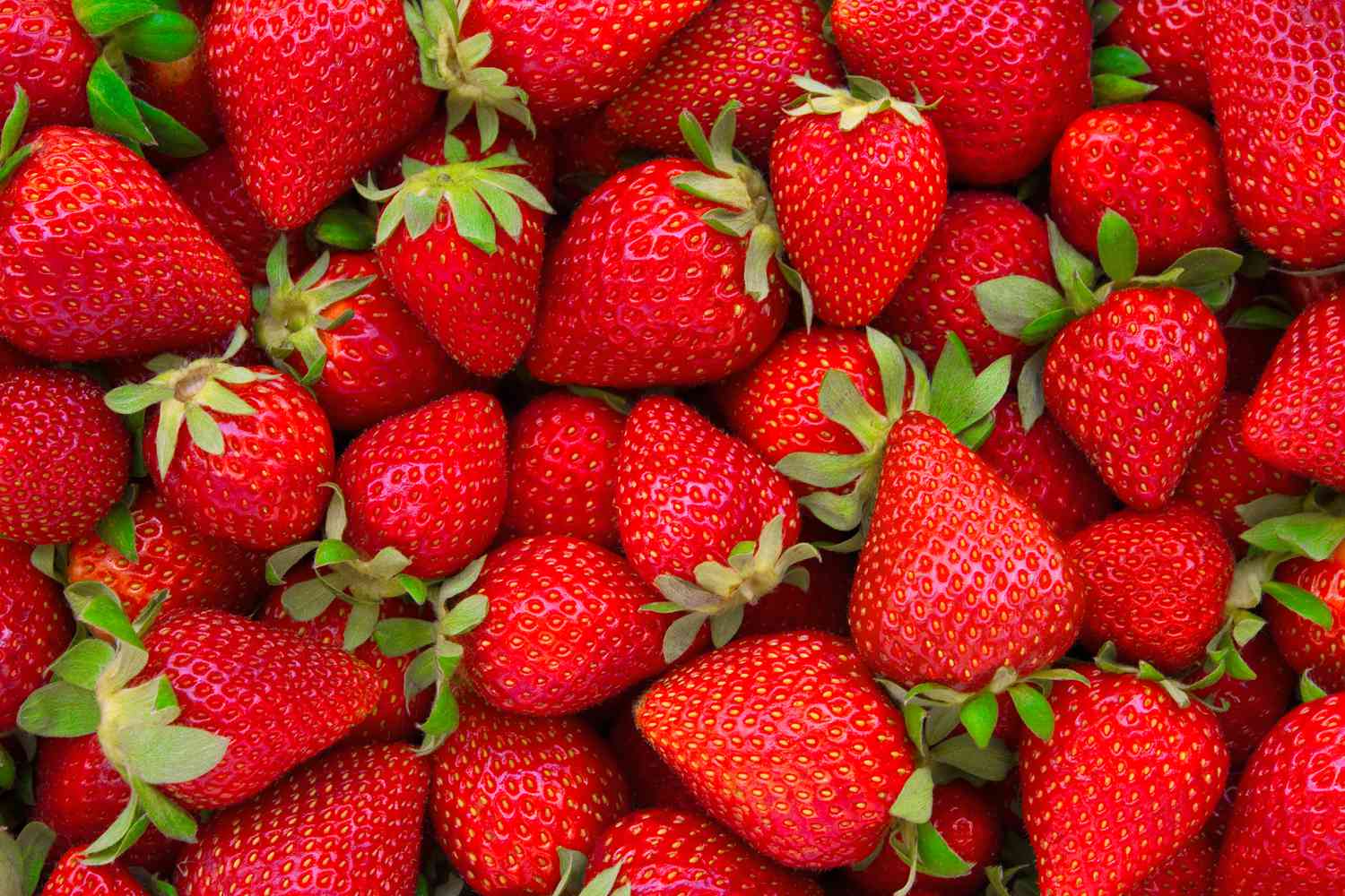 strawberries close-up