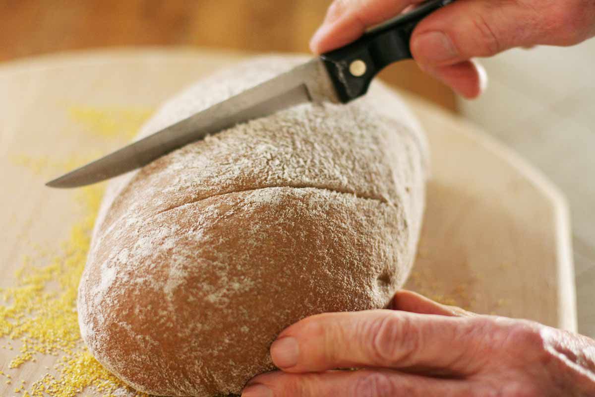 Scoring rye bread dough with a knife