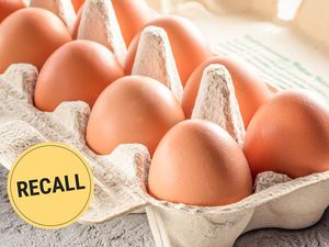 Carton of eggs with a recall label