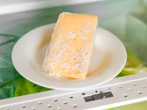 Moldy cheese wrapped in cling film on a refrigerator shelf